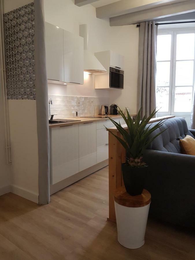 Design Appart O'Prison.. Canal View & Old Prisons Apartment Annecy Luaran gambar