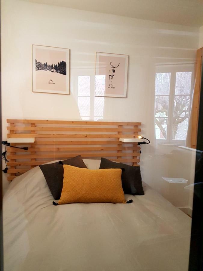 Design Appart O'Prison.. Canal View & Old Prisons Apartment Annecy Luaran gambar